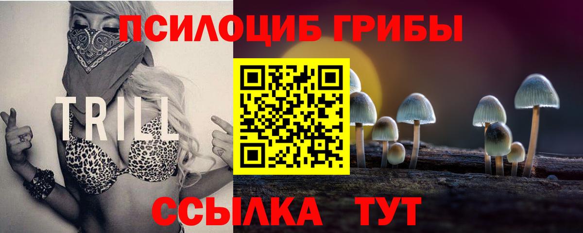 Советск  Псилоцибиновые грибы MAGIC MUSHROOMS  Галлюциногенные грибы Psilocybine cubensis  Вход с VPN 